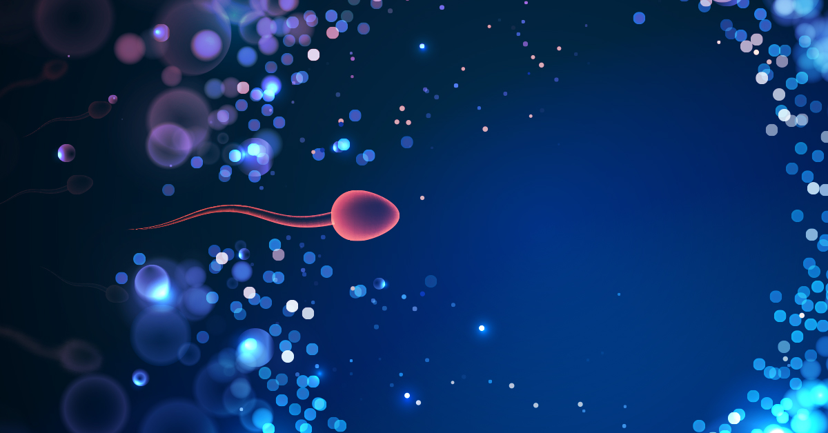 ICSI Treatment In Bangalore ICSI Cost In Bangalore ICSI