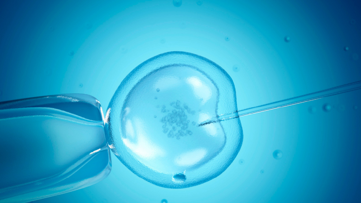 Mini IVF treatment in Bangalore